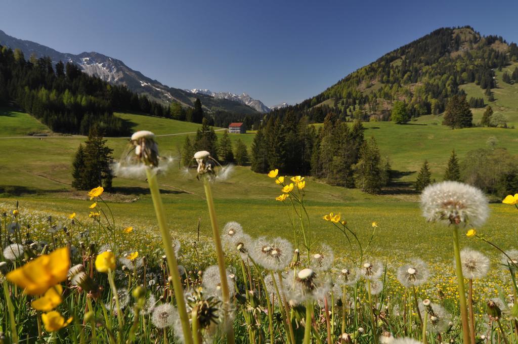Landhotel Berghof Bad Hindelang Chambre photo
